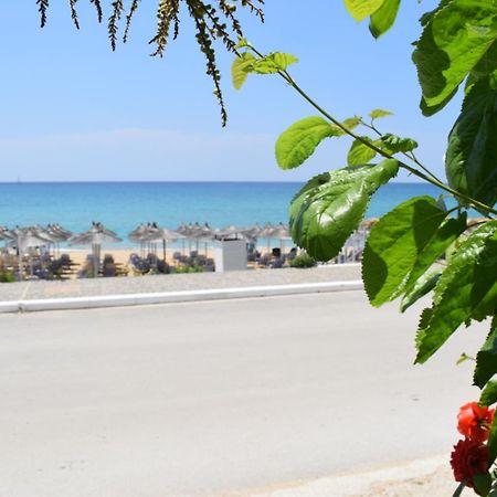 Mirto Beach Hotel & Restaurant 帕拉利亚维拉乔 外观 照片