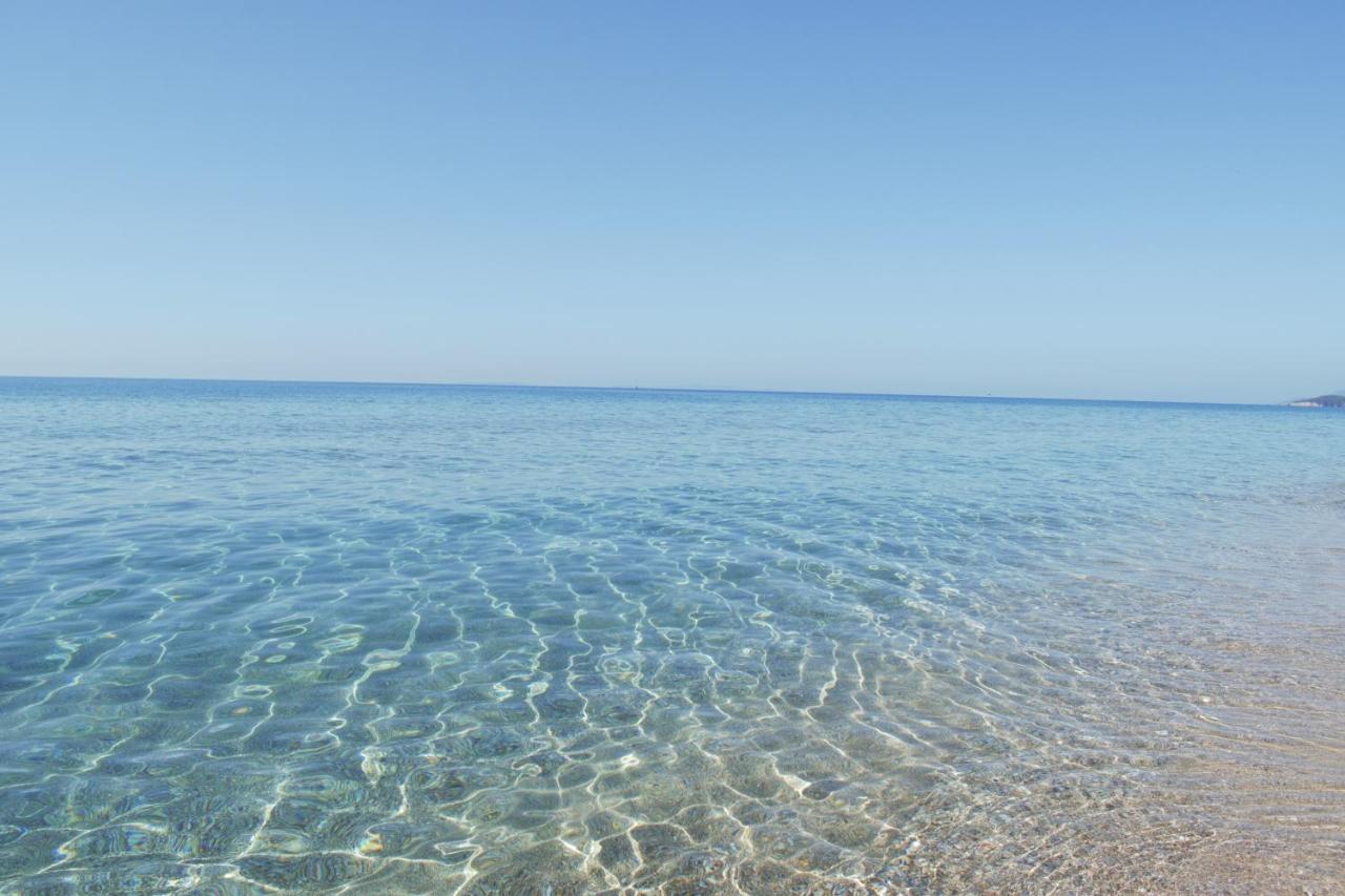 Mirto Beach Hotel & Restaurant 帕拉利亚维拉乔 外观 照片